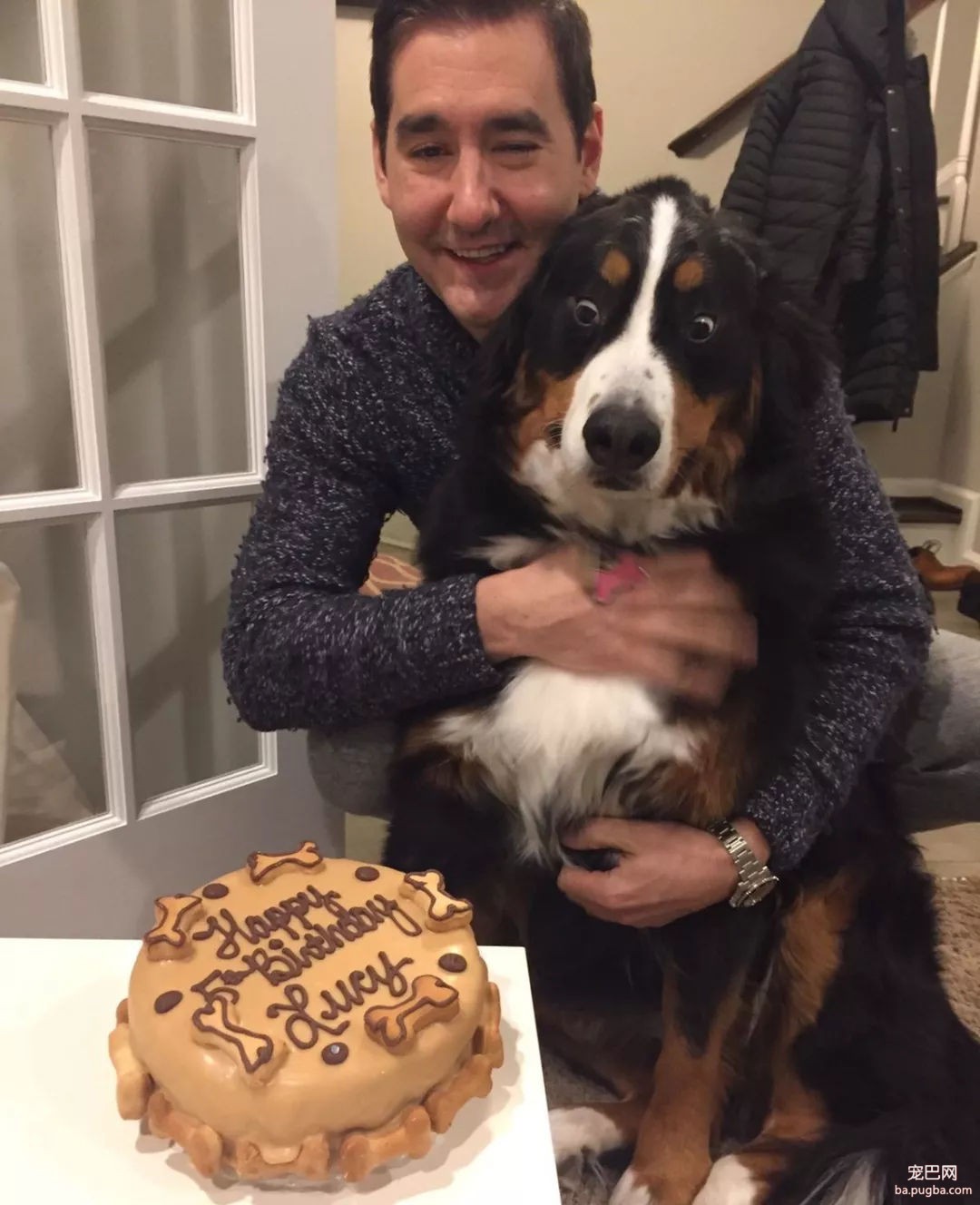 当狗狗收到生日蛋糕，脸上的表情绝了……-10.jpg