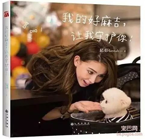 爱狗的明星，运气不会太差！-2.jpeg