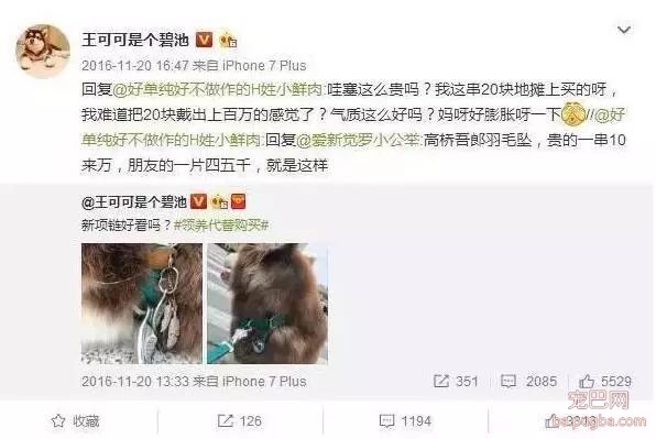 爱狗的明星，运气不会太差！-13.jpeg
