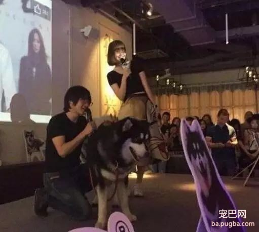 爱狗的明星，运气不会太差！-15.jpeg