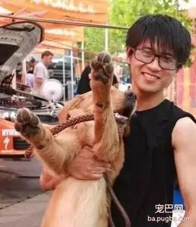 爱狗的明星，运气不会太差！-17.jpeg