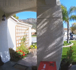 我家金毛为了我当了小偷…-6.gif