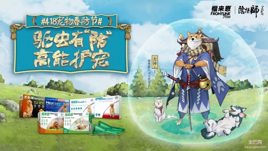 我家金毛为了我当了小偷…-12.jpeg
