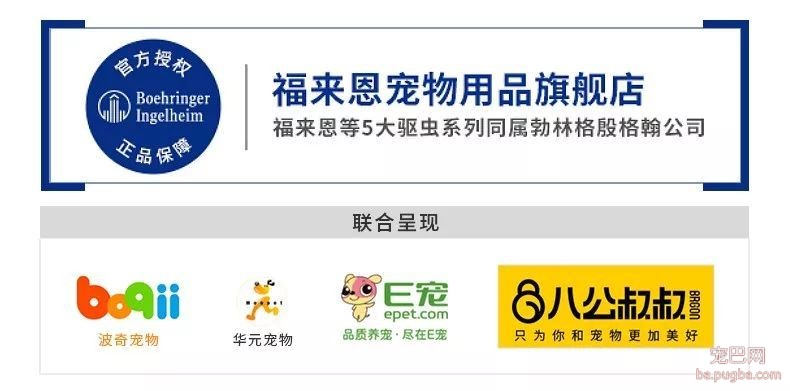 我家金毛为了我当了小偷…-16.jpeg
