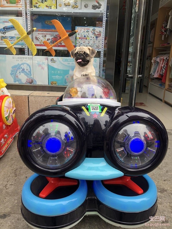 丑丑.jpg