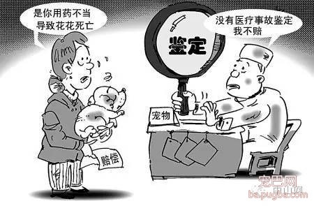 爱犬剖腹产起纠纷，医院给狗主人赔了1.6万元，宠物医疗纠纷如何解决？-5.jpeg