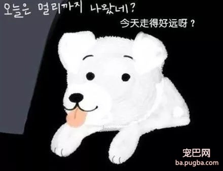 被抛弃的流浪狗，它知道自己被抛弃了吗？-7.jpg