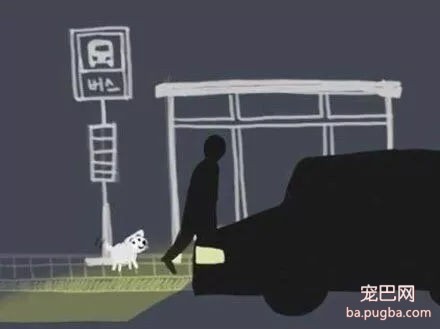 被抛弃的流浪狗，它知道自己被抛弃了吗？-10.jpg