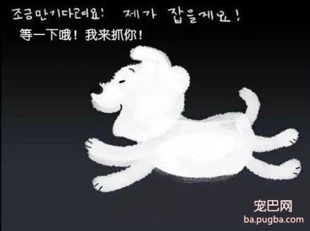 被抛弃的流浪狗，它知道自己被抛弃了吗？-14.jpg