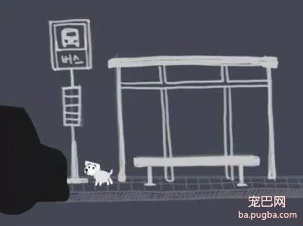 被抛弃的流浪狗，它知道自己被抛弃了吗？-11.jpg