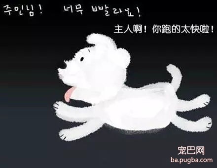 被抛弃的流浪狗，它知道自己被抛弃了吗？-16.jpg
