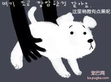 被抛弃的流浪狗，它知道自己被抛弃了吗？-8.jpg