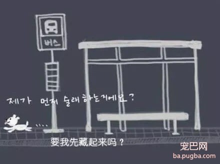被抛弃的流浪狗，它知道自己被抛弃了吗？-13.jpg