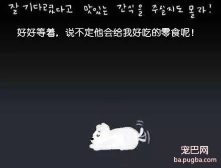 被抛弃的流浪狗，它知道自己被抛弃了吗？-21.jpg