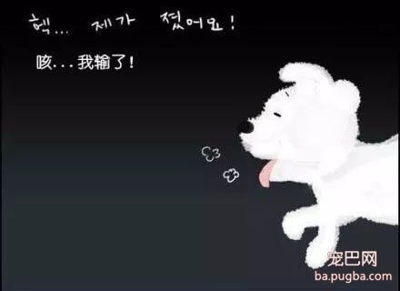 被抛弃的流浪狗，它知道自己被抛弃了吗？-17.jpg