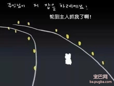 被抛弃的流浪狗，它知道自己被抛弃了吗？-19.jpg