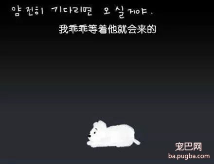 被抛弃的流浪狗，它知道自己被抛弃了吗？-22.jpg