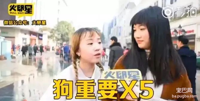 如果狗和男朋友同时掉水里，你救谁-4.jpeg