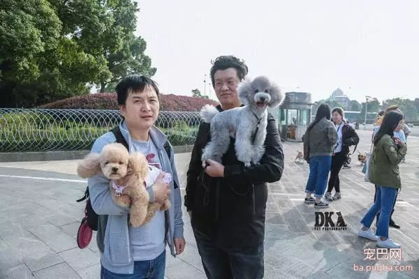 虽然月湖宠物总动员结束了，但给狗子投个票还能将iPhoneX带回家！-9.jpeg