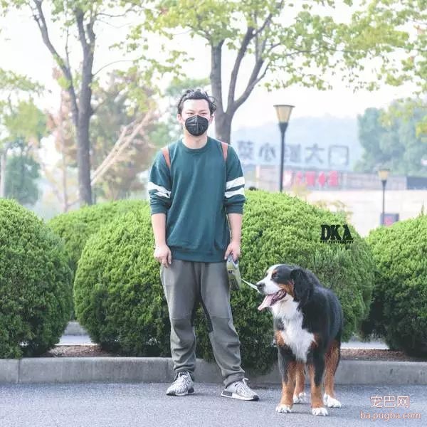 虽然月湖宠物总动员结束了，但给狗子投个票还能将iPhoneX带回家！-14.jpeg