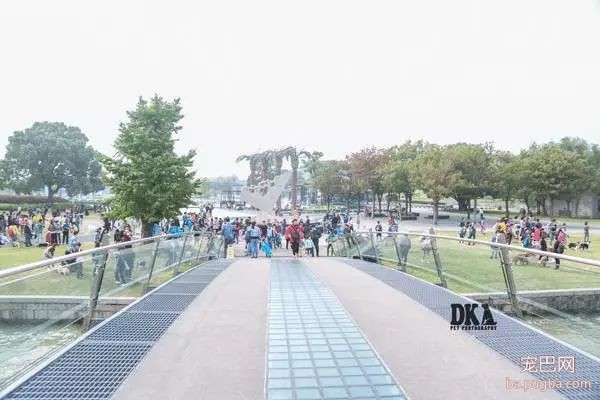 虽然月湖宠物总动员结束了，但给狗子投个票还能将iPhoneX带回家！-18.jpeg