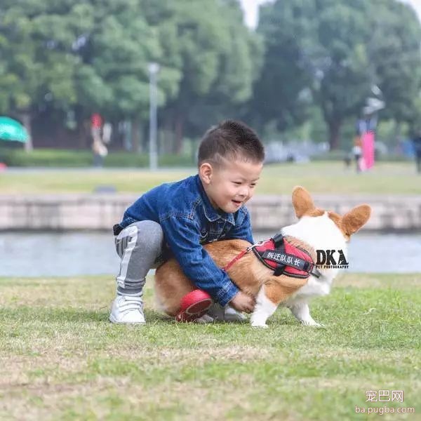 虽然月湖宠物总动员结束了，但给狗子投个票还能将iPhoneX带回家！-31.jpeg