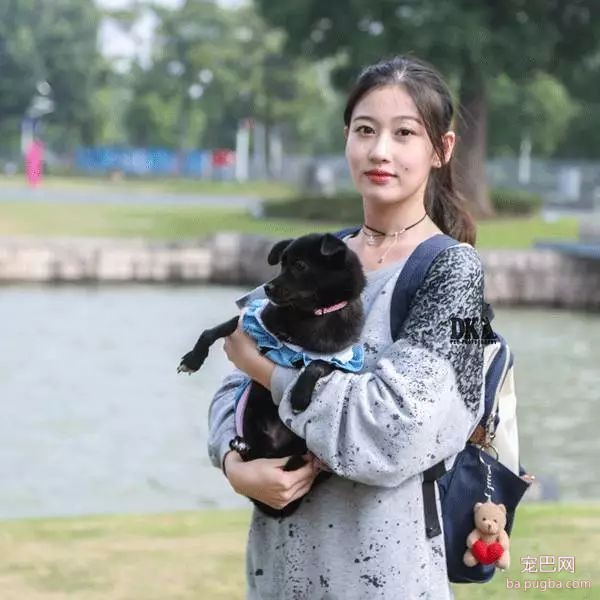 虽然月湖宠物总动员结束了，但给狗子投个票还能将iPhoneX带回家！-33.jpeg