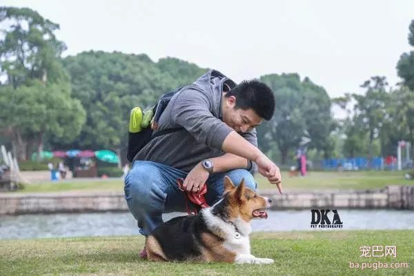 虽然月湖宠物总动员结束了，但给狗子投个票还能将iPhoneX带回家！-32.jpeg