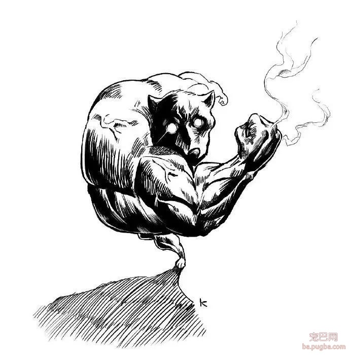 柴柴转圈摇尾巴玩的照片，结果被网友玩坏成了一枚肌肉柴男！-7.jpeg
