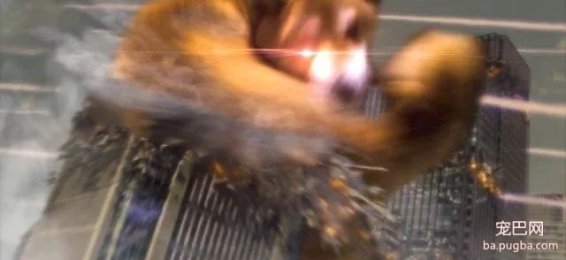 柴柴转圈摇尾巴玩的照片，结果被网友玩坏成了一枚肌肉柴男！-8.jpeg