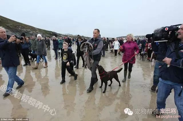 18岁狗狗安乐死前上百只狗狗送别，看到最后一张照片时大家眼泪都止不住了！-1.jpeg