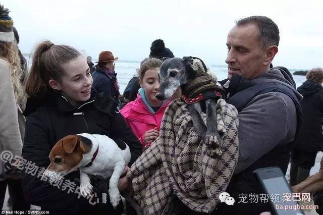 18岁狗狗安乐死前上百只狗狗送别，看到最后一张照片时大家眼泪都止不住了！-4.jpeg