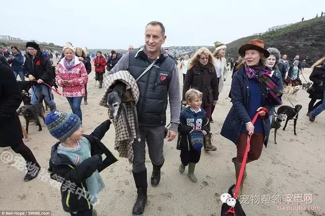 18岁狗狗安乐死前上百只狗狗送别，看到最后一张照片时大家眼泪都止不住了！-2.jpeg
