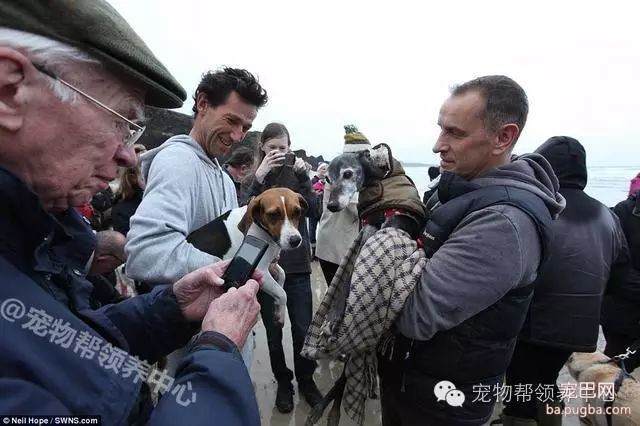 18岁狗狗安乐死前上百只狗狗送别，看到最后一张照片时大家眼泪都止不住了！-10.jpeg