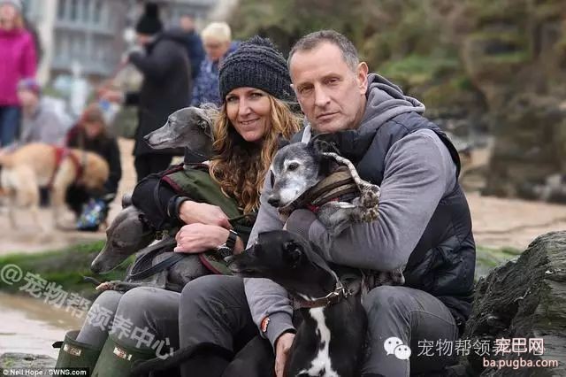 18岁狗狗安乐死前上百只狗狗送别，看到最后一张照片时大家眼泪都止不住了！-12.jpeg