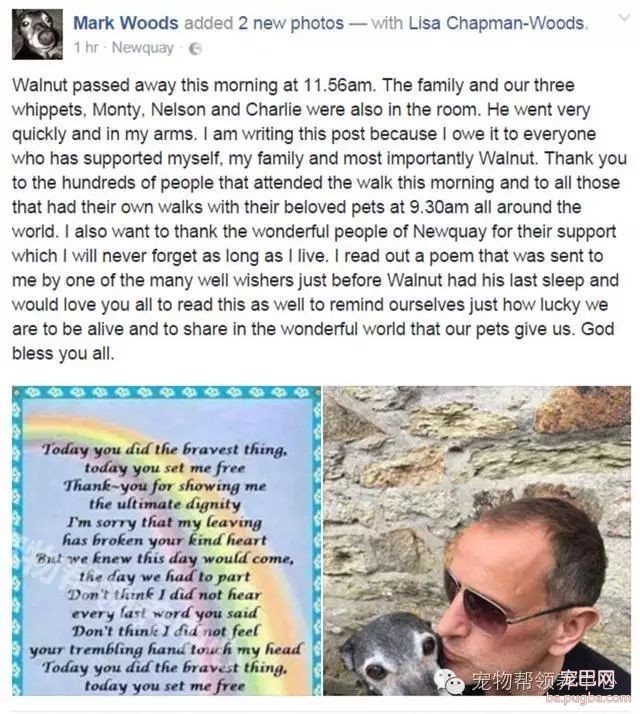 18岁狗狗安乐死前上百只狗狗送别，看到最后一张照片时大家眼泪都止不住了！-13.jpeg