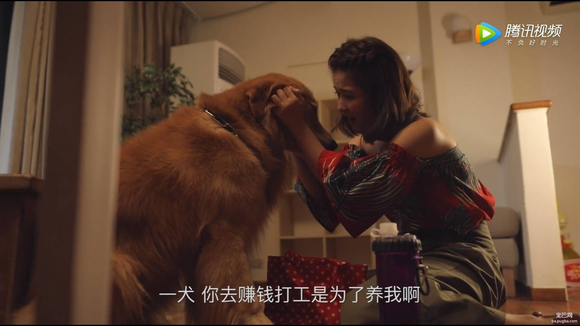 我的萌宠男友丨美狗外卖，送啥都快，变成狗也要赚钱养家-5.jpeg