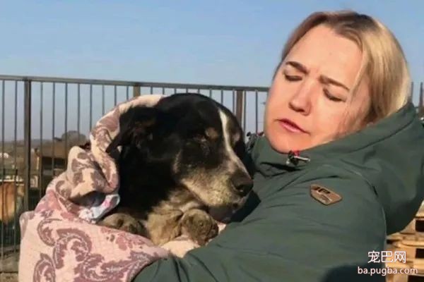 18岁爱犬过世，主人就埋葬了它，没想到它竟复活爬出了墓穴...-1.jpeg