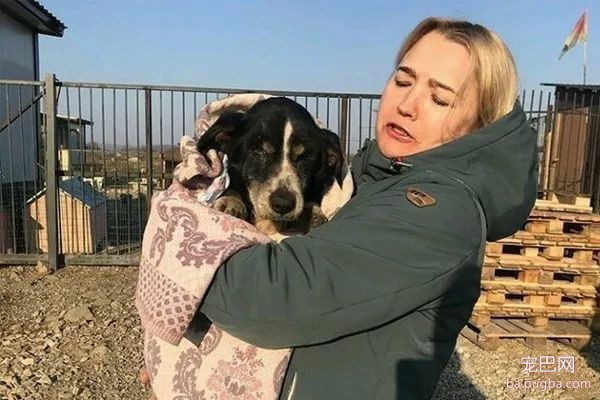 18岁爱犬过世，主人就埋葬了它，没想到它竟复活爬出了墓穴...-3.jpeg