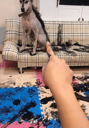 这货上辈子怕是个国画家，二哈又给家里抹黑啦！-4.gif