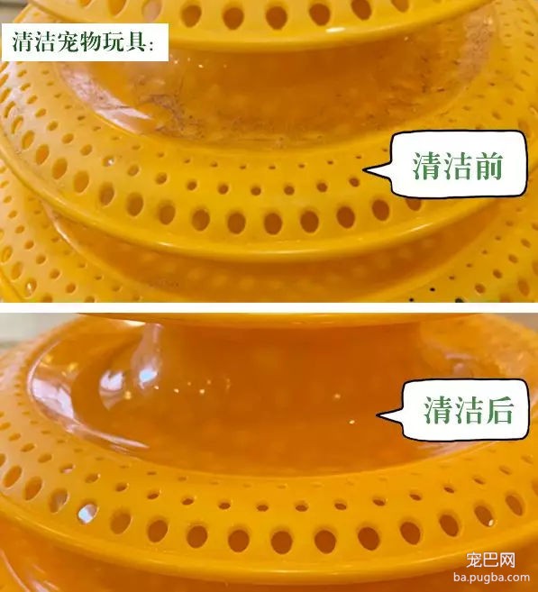 这货上辈子怕是个国画家，二哈又给家里抹黑啦！-12.jpg