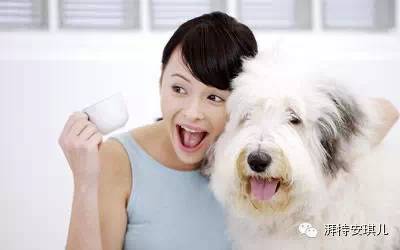 狗狗拉肚子常见的七大原因-2.jpeg