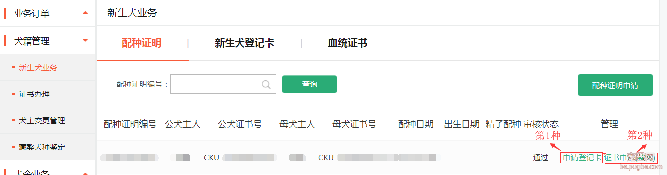 496nF98005.png