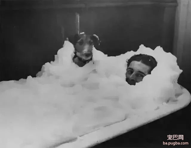 一组狗狗的老照片：有些羁绊，永不褪色-5.jpeg
