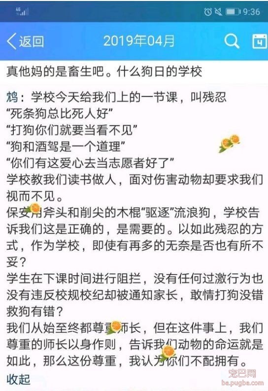 大金毛误入校园被虐杀，更让人寒心的是校方的态度：敢散播就开除！-5.jpeg