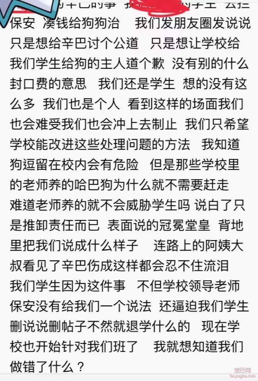 大金毛误入校园被虐杀，更让人寒心的是校方的态度：敢散播就开除！-6.jpeg