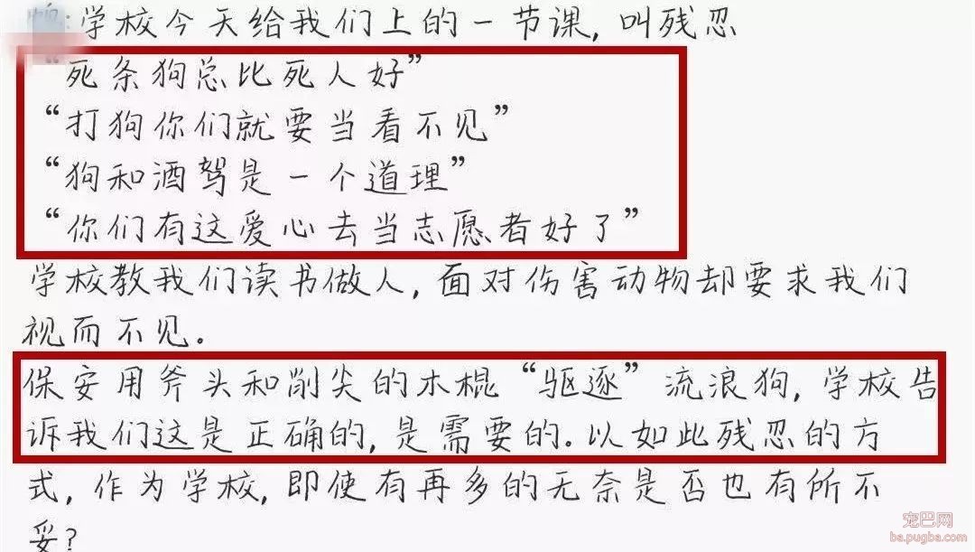大金毛误入校园被虐杀，更让人寒心的是校方的态度：敢散播就开除！-9.jpeg