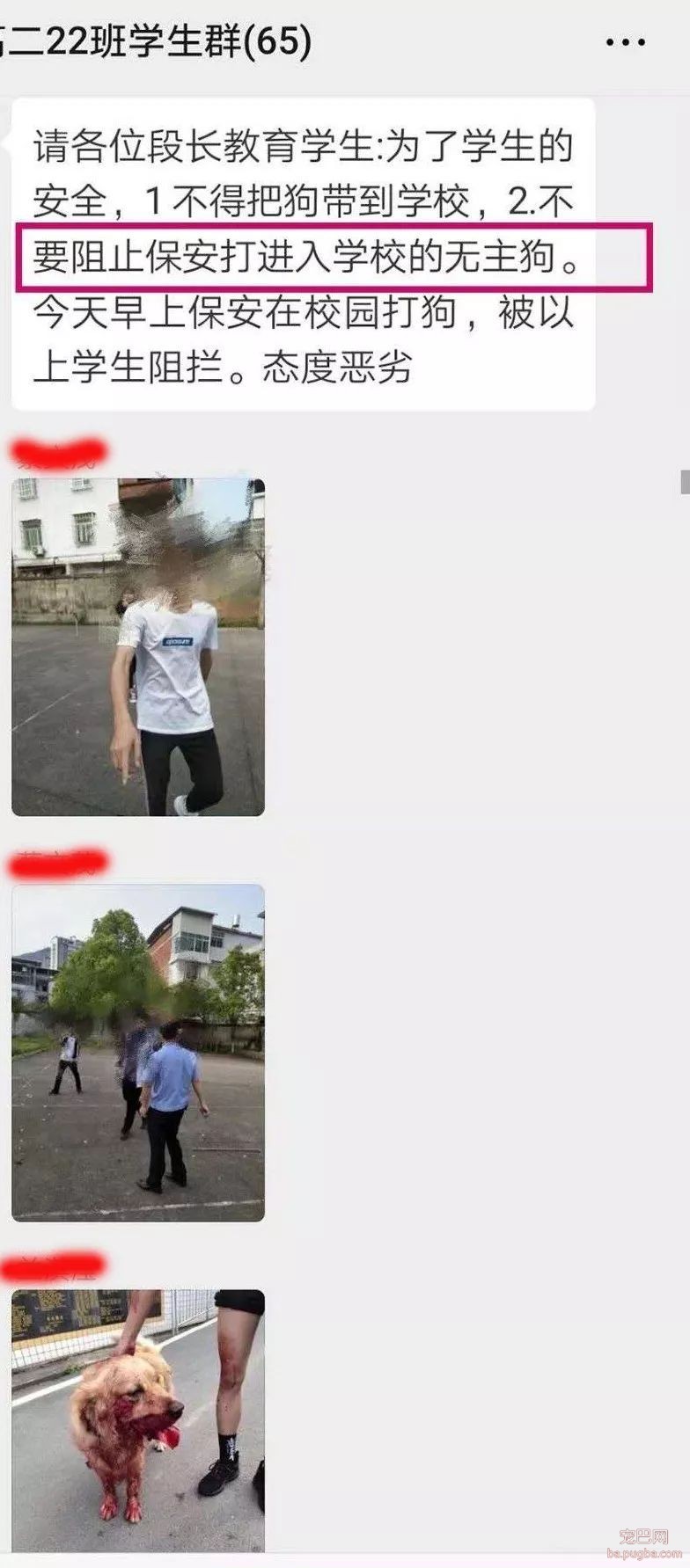 大金毛误入校园被虐杀，更让人寒心的是校方的态度：敢散播就开除！-7.jpeg