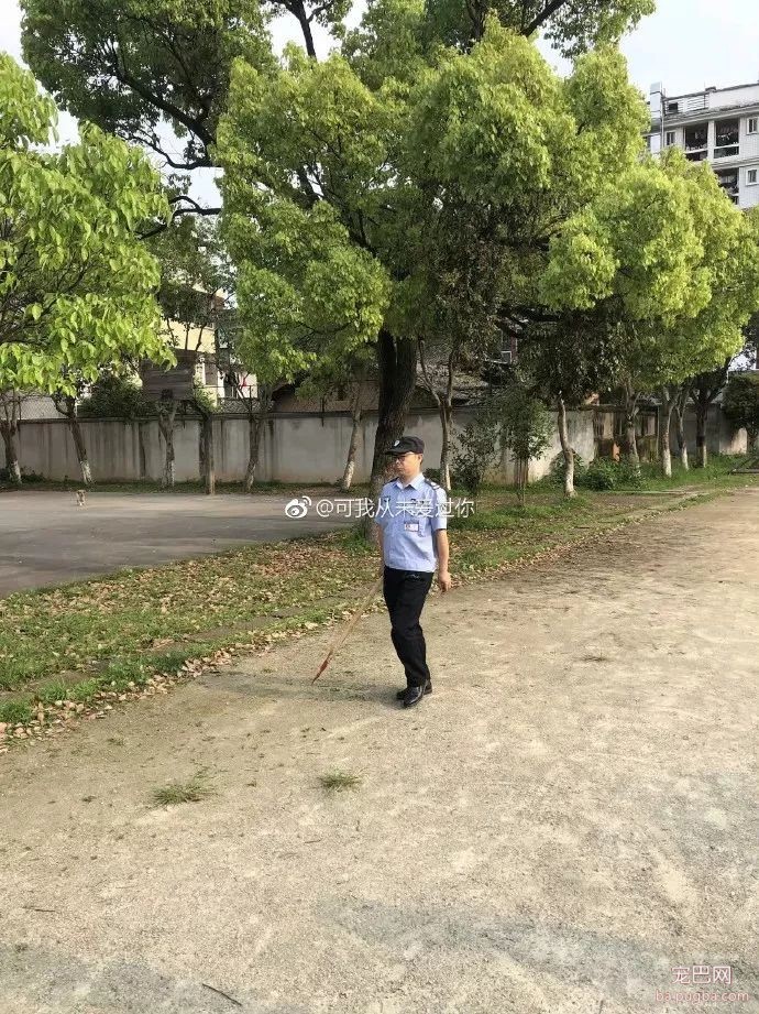 大金毛误入校园被虐杀，更让人寒心的是校方的态度：敢散播就开除！-8.jpeg