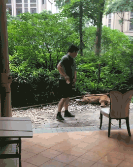 王小贱已死，还有更多的“小贱们”等待被保护……-2.gif